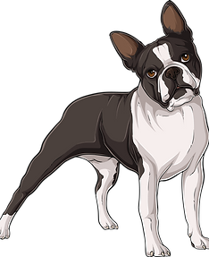 pup_edited.png