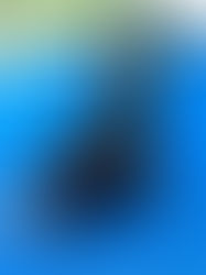 6/27 クシディット王国記用ミニチュアペイント