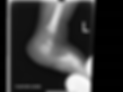 9C07831D-68B8-41E6-BC69-A2387F48DFC6.png