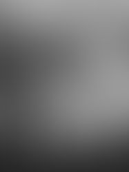 Fear and Violence, New and Old