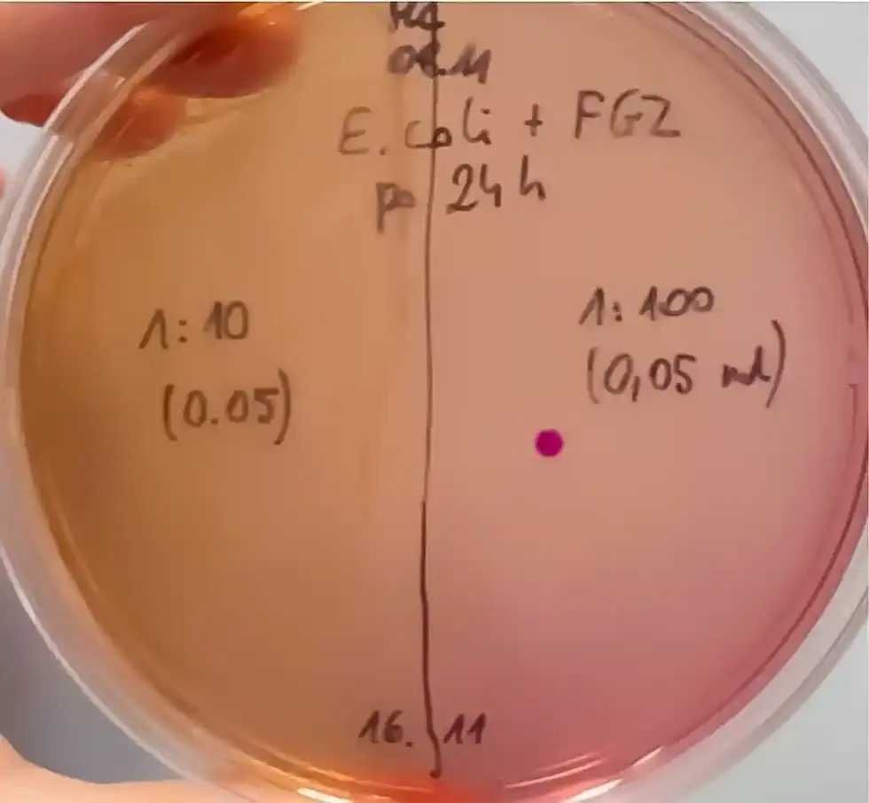 Constructive-Microbes-E-Coli-Investigacion-Fig3.webp
