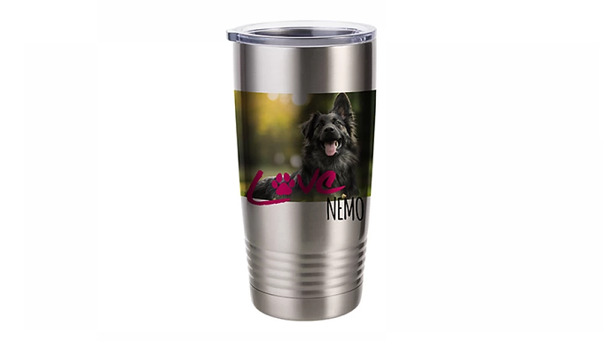 20OZ STAINLESS STEEL TUMBLER WITH RINGNECK GRIP (SILVER)( BW40S-600) FL-11
