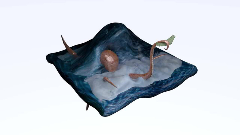 GreenOctopusAnjelika ARTIVIVE אנג'יליקה פומנקו.jpeg