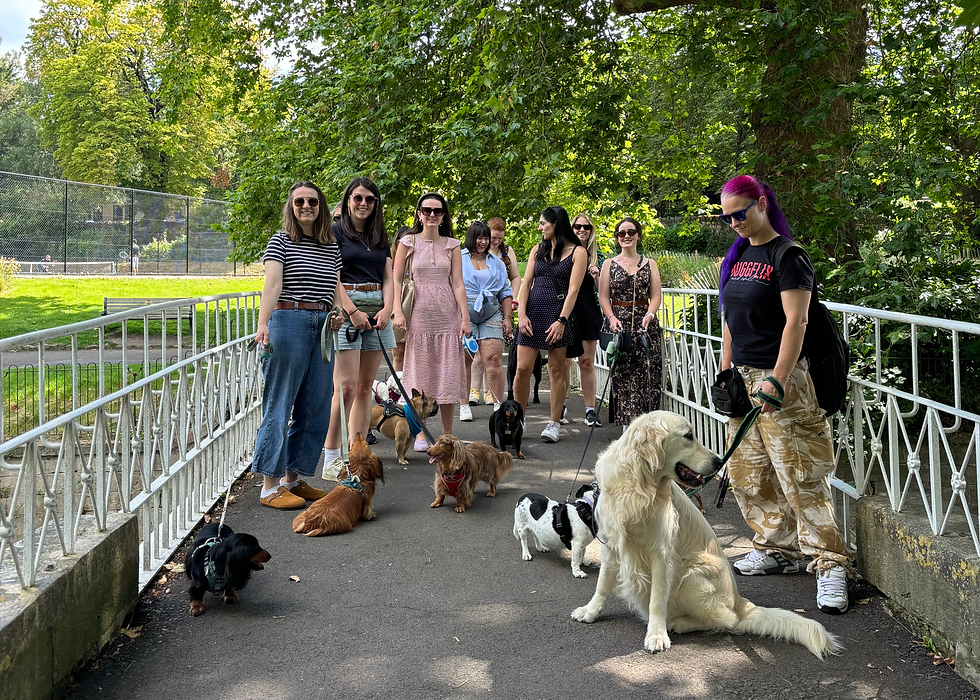 Walkies