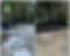 IMG_6114.jpeg