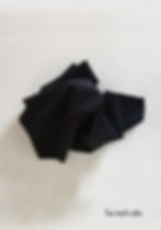 Thumbnail: The Body