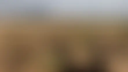 Dünyanın ekolojik kaynakları haftaya tükeniyor