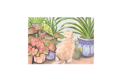 In the Greenhouse