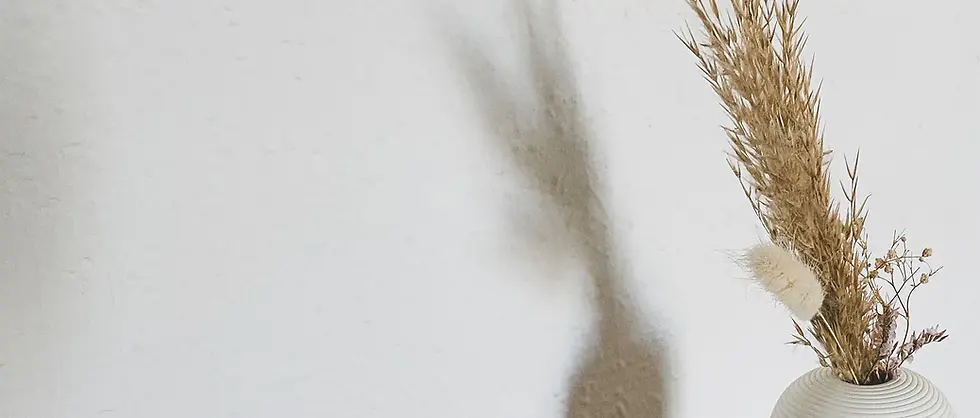 zf11 - 2026-02-04T170549.438.webp