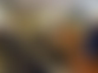 Comissão de Finanças aprova parecer favorável a PL de pensão por morte na previdência da GCM