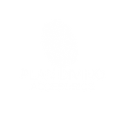 logo plan divino blanco.png