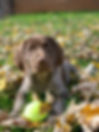 IMG_9128.jpeg