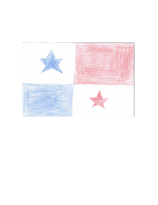flag dylan_250303_135845.png