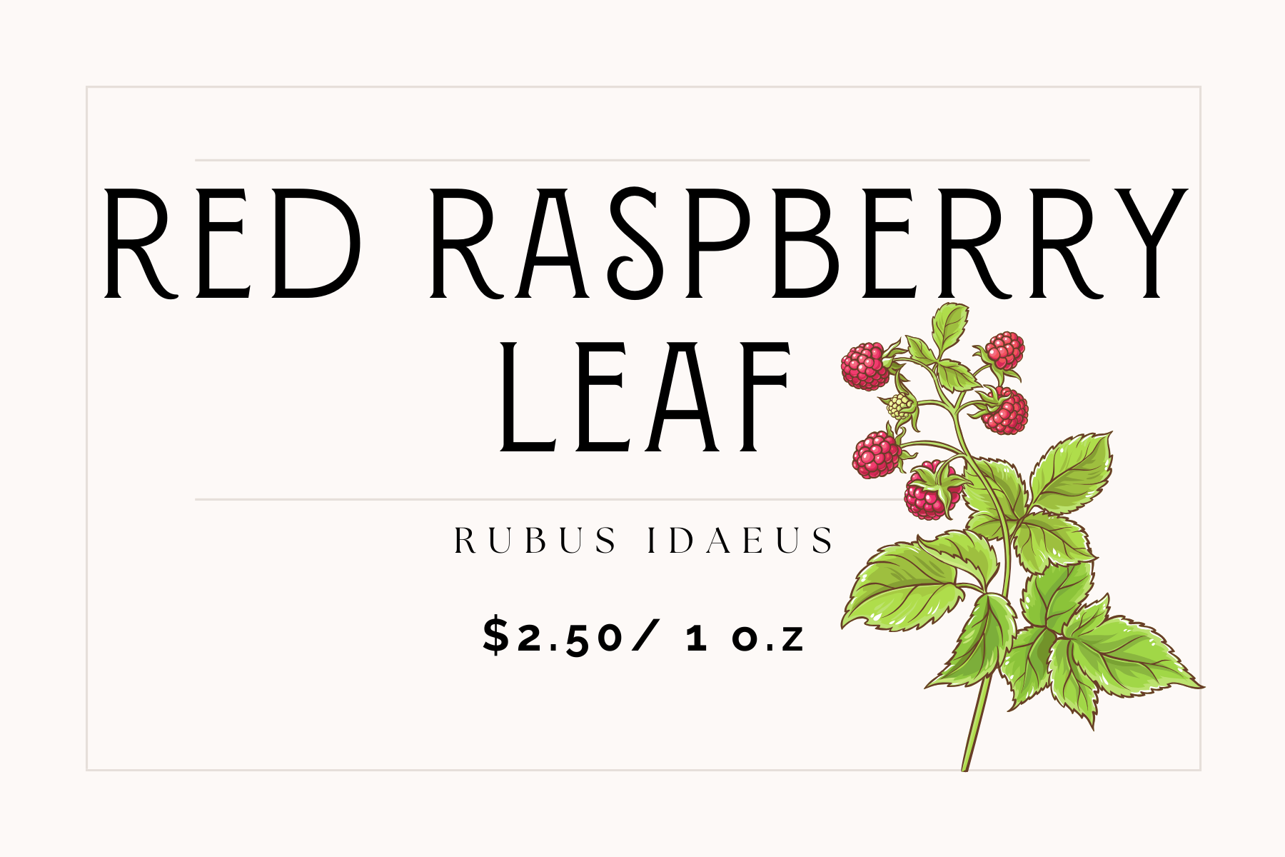 Raspberry Leaf