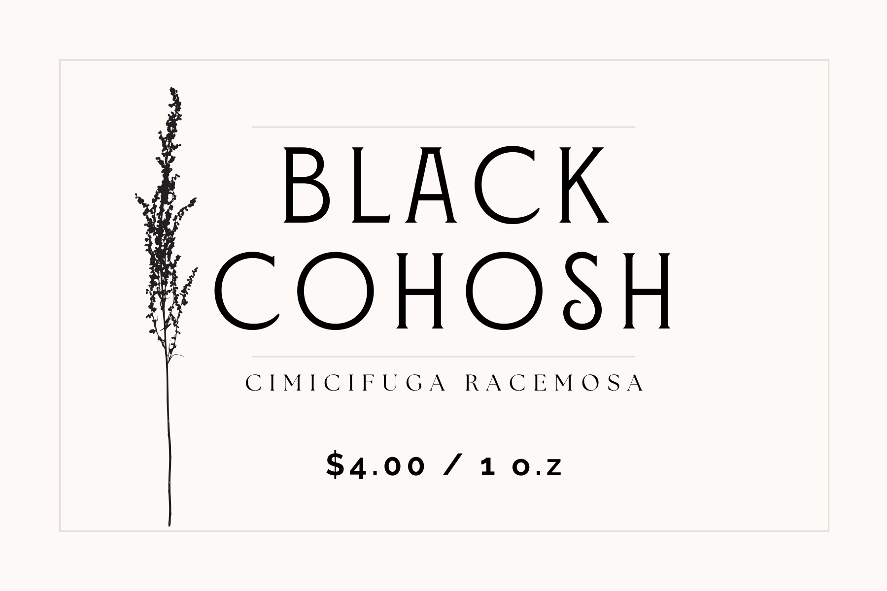 Black Cohosh