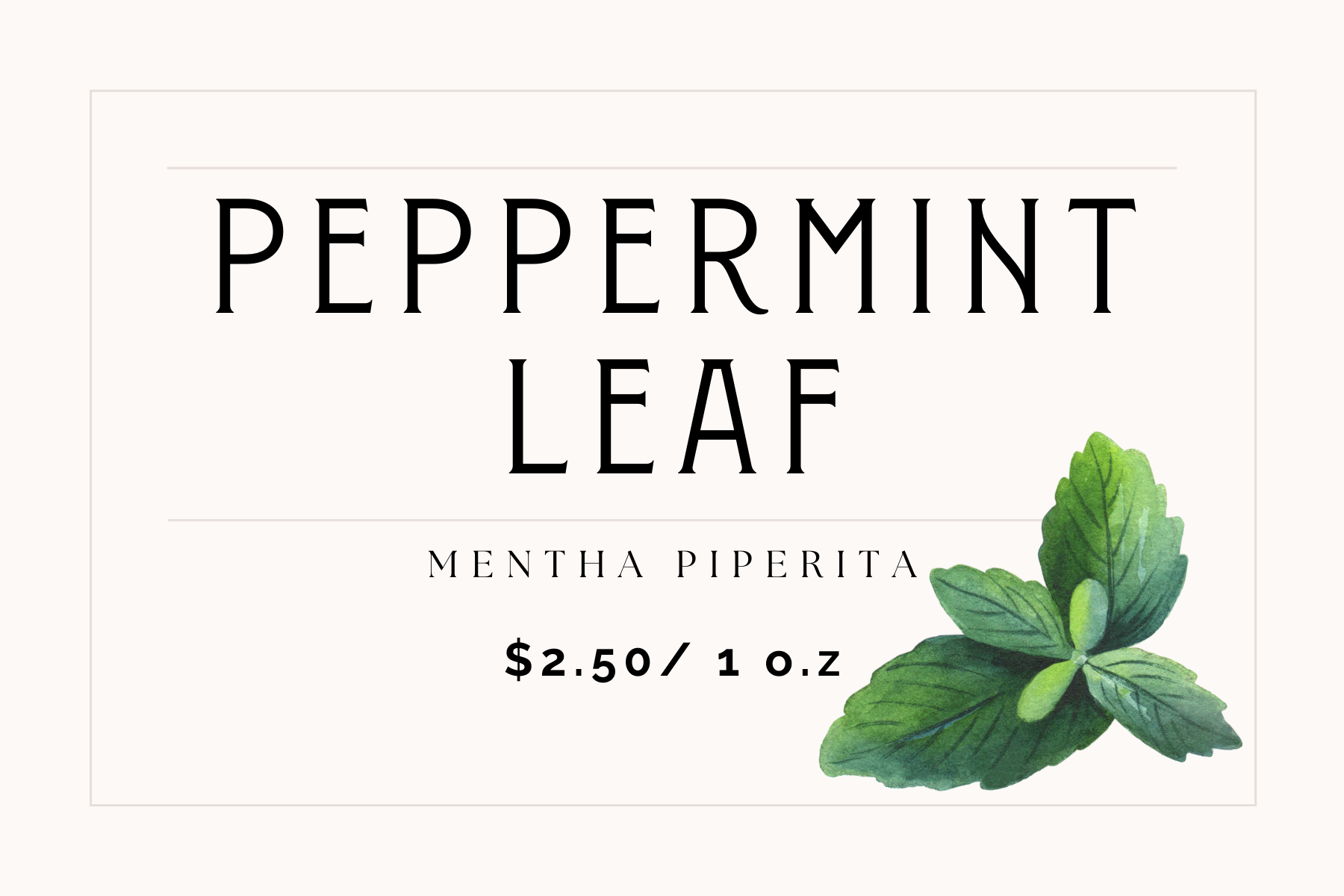 Peppermint Leaf