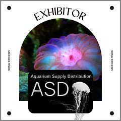 Copy of Black and Pink UI Fashion Editorial Instagram Post (6).png