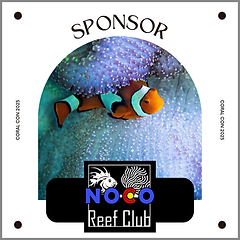 Copy of Black and Pink UI Fashion Editorial Instagram Post (2).png