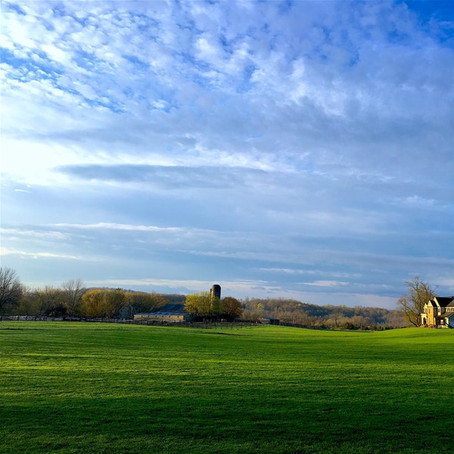 Registering your land