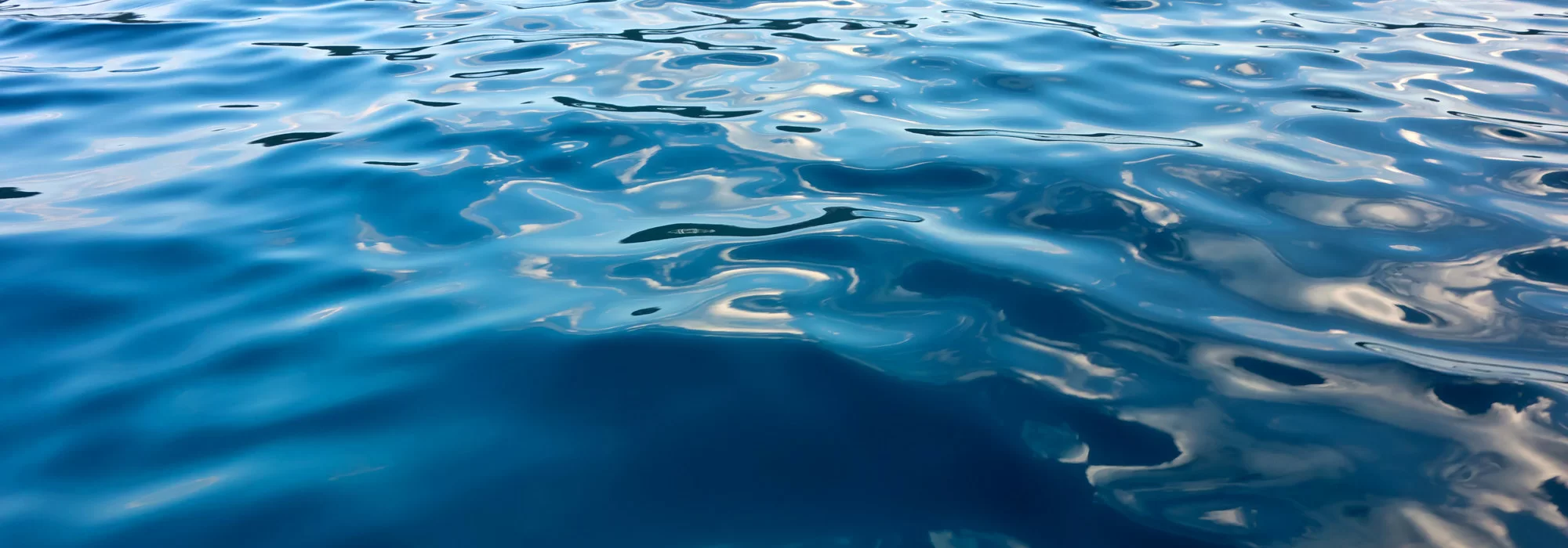 wasser.webp