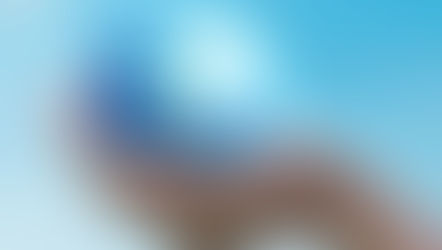 Mais um ano se foi. E que ano!