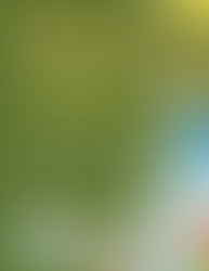 JOIN US TO ACT NOW FOR CLIMATE ACTION