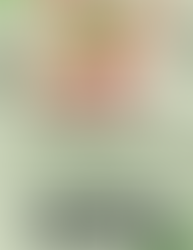 Pollinator Class Monday May 20, 6:30-8PM Watonwan Co Human Services Meeting Room