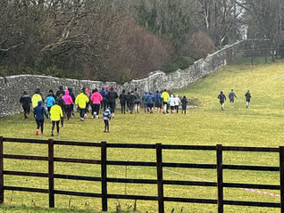 January Burn Trail Run - Llantrithyd Deer Park