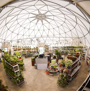 Geodesic Dome.jpeg