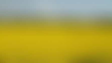 Planeta en (re)habilitación -El trato-