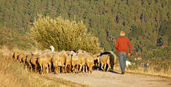 Producción legítima de un paisaje.