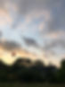 IMG_8572.jpeg