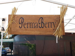 PermaBerry