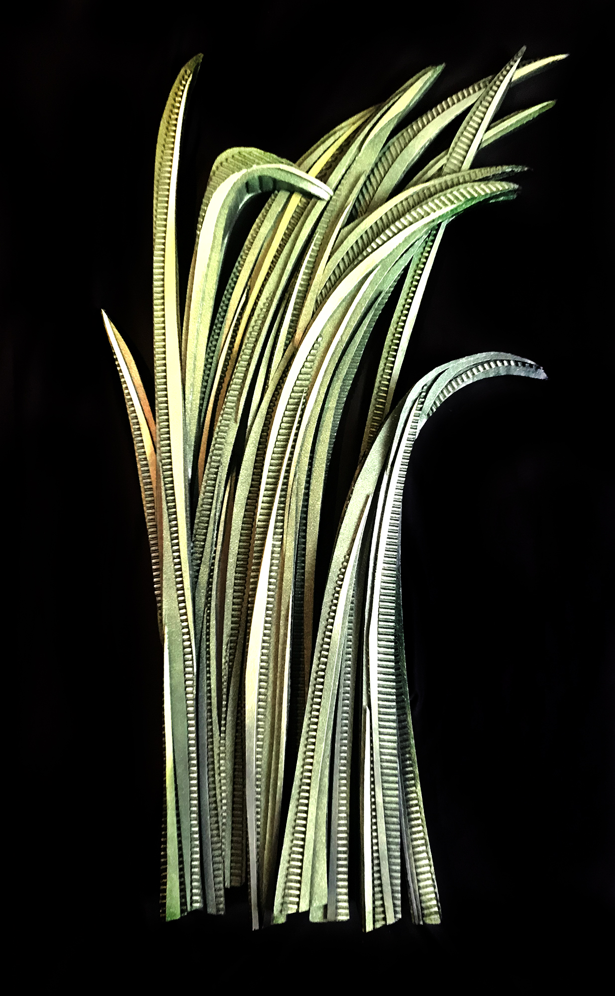 SUMMER GRASSES II