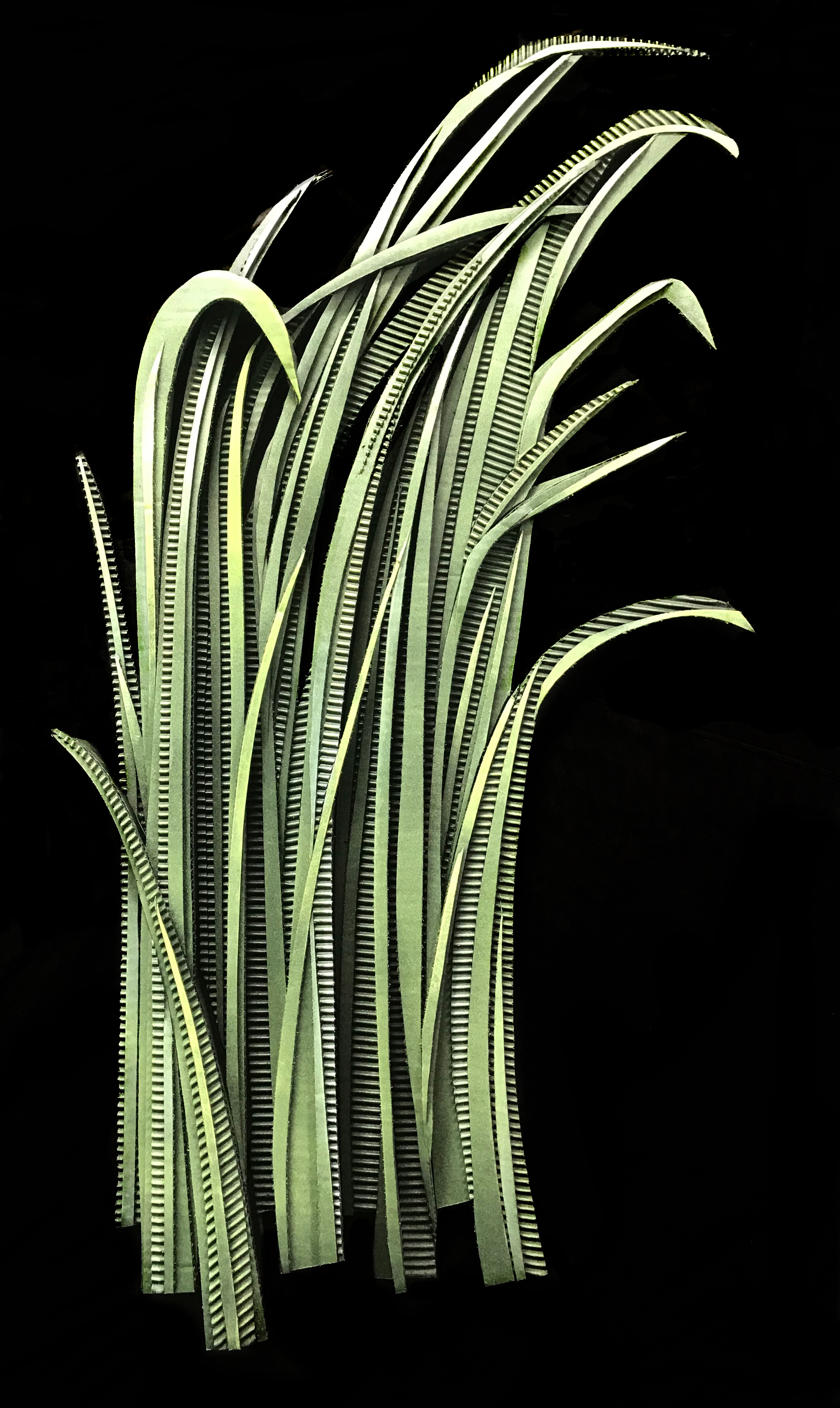 GRASS TWO