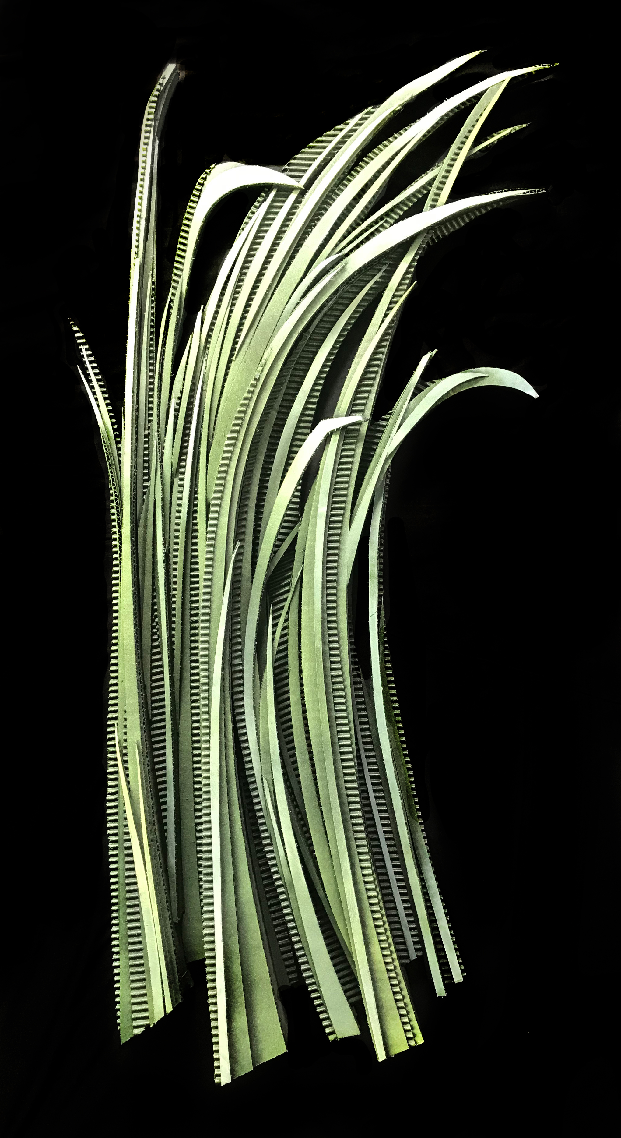 GRASS ONE