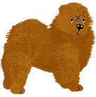 Liam.png
