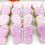 Thumbnail: Decorated Sugar Cookies