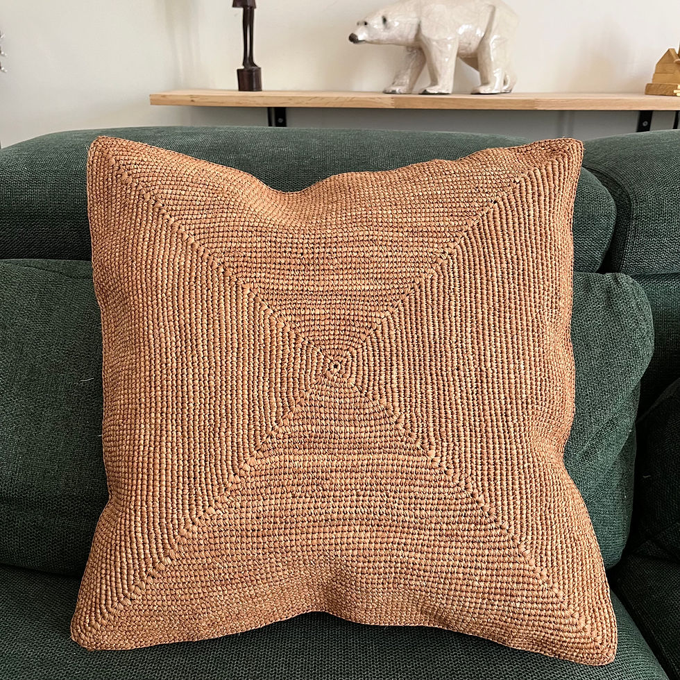 Miniature : Housse de coussin en raphia - crochet