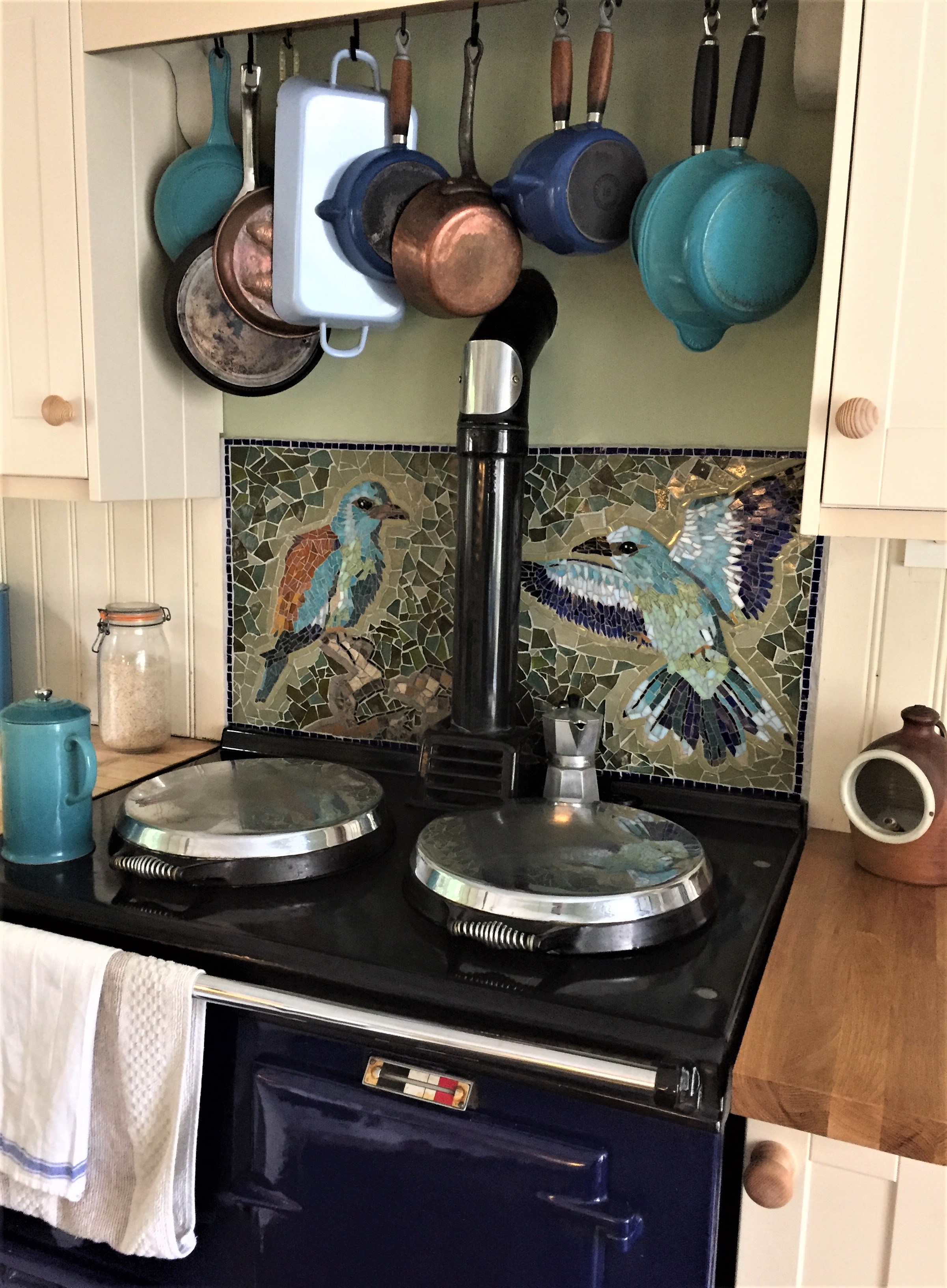 European Roller Birds, AGA panel