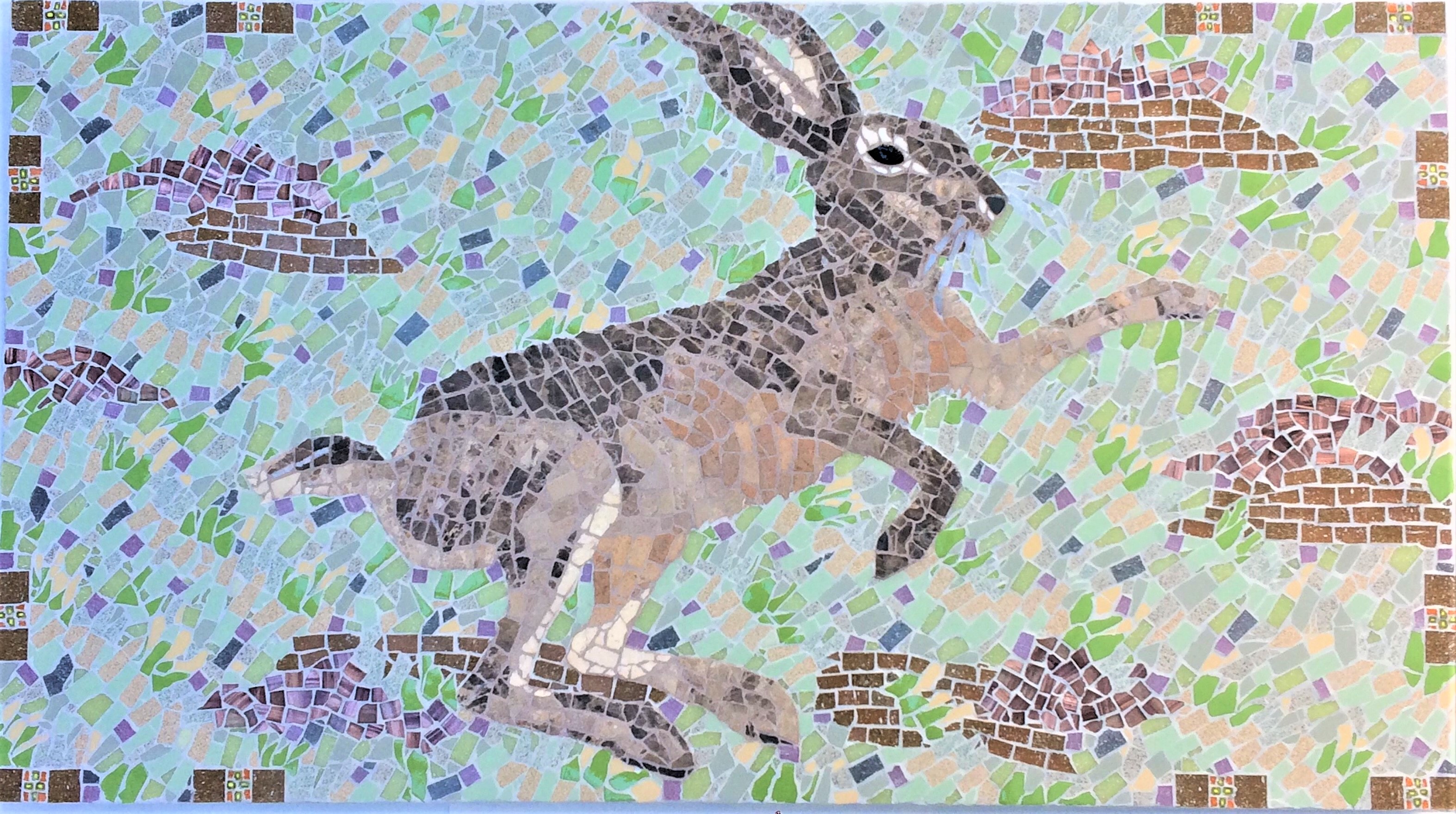 Brown Hare