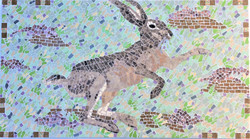 Brown Hare