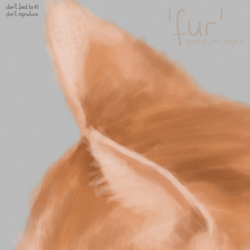 Sketch A Day: Fur