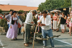 fête des vieux métiers(86)