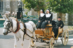 fête des vieux métiers(101)