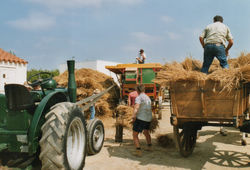 fête des vieux métiers (30)