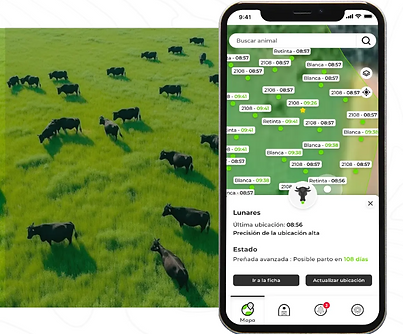 Captura de pantalla (6).png