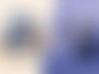 Audio Guest Book vs Video Booth