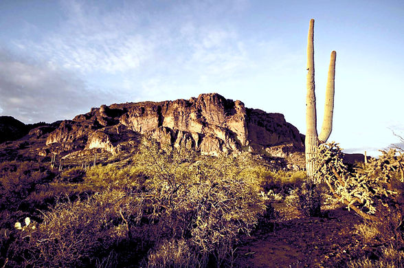 Arizona Desert Scene with Sahuaro cactus