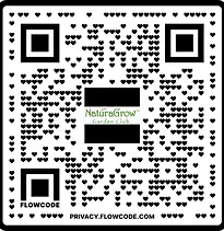 YPIDonationQrCODE.webp